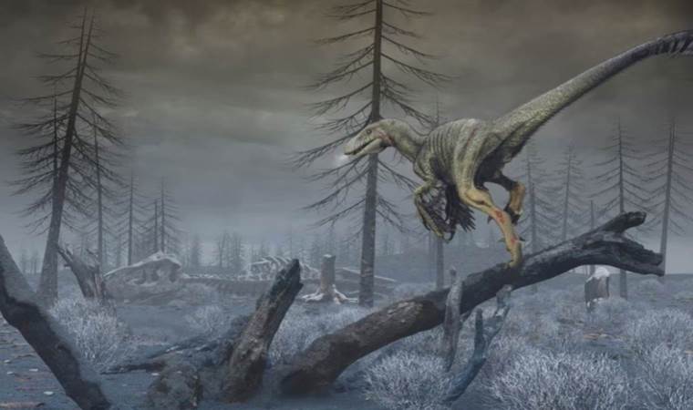 Dinosaur-killing asteroid impact fouled Earth's atmosphere with dust