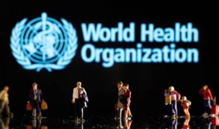 WHO asks China for details on outbreaks of respiratory illness