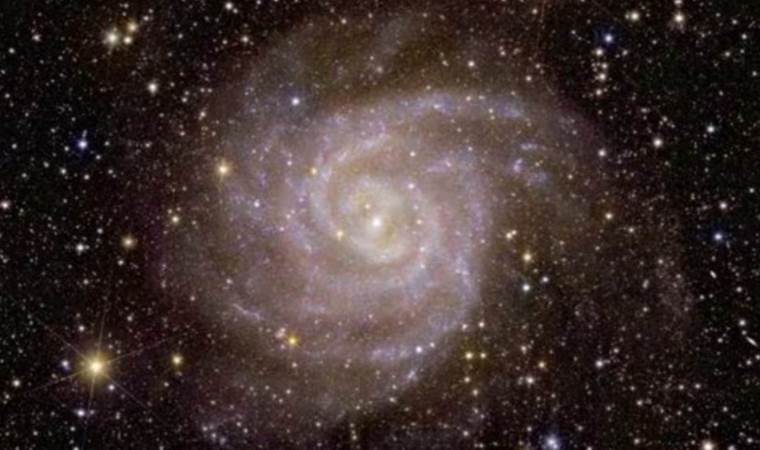 Star-filled Euclid images spur mission to probe 'dark universe'
