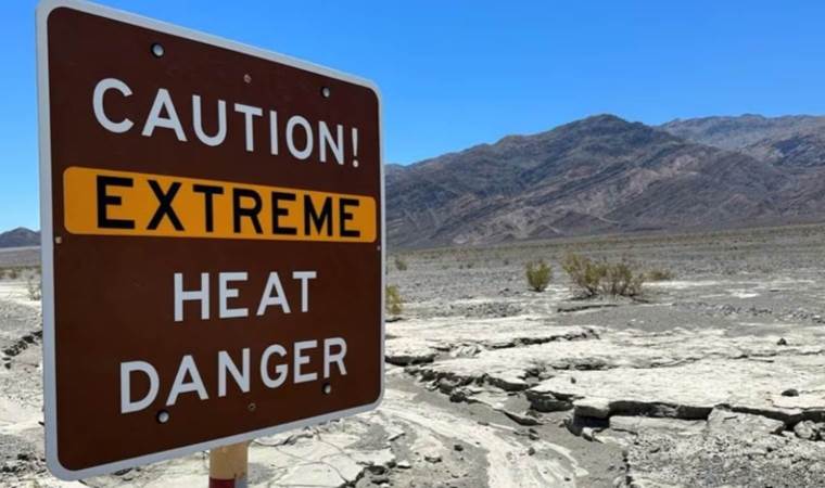 This year 'virtually certain' to be warmest in 125,000 years, EU scientists say