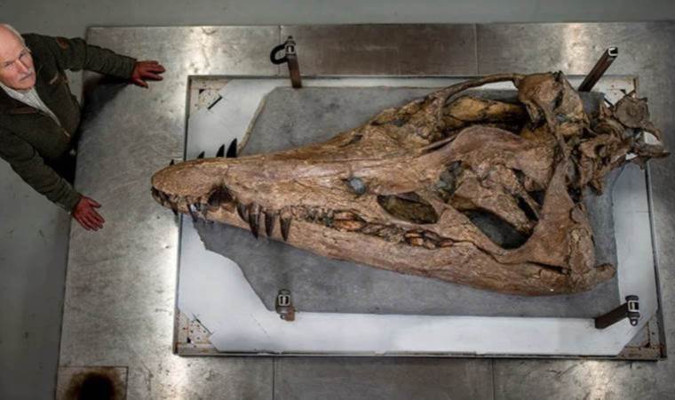 150 million-year-old sea monster unearthed