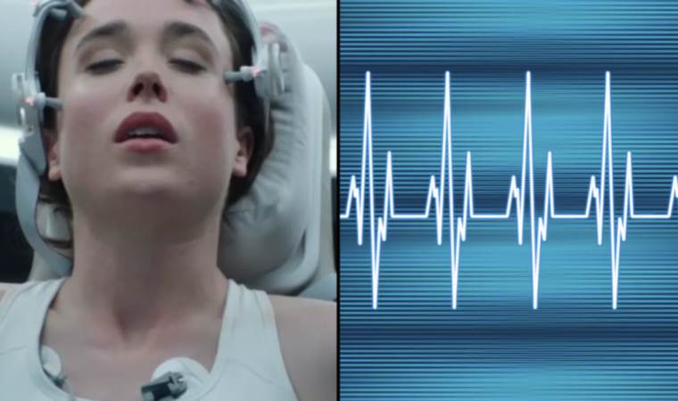 First recording uncovers the brain's final thoughts at life's end