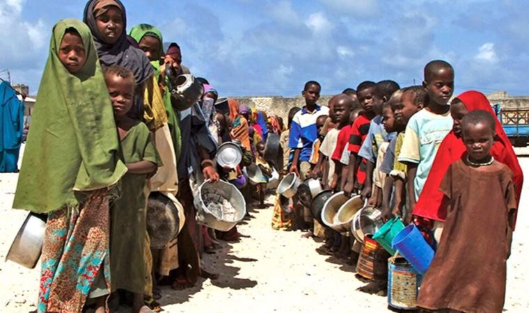 Over quarter-billion people were acutely food insecure in 2022: Report