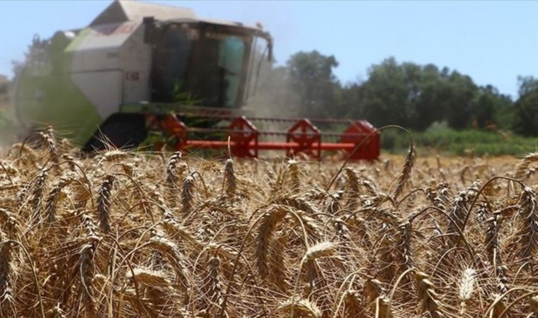 How can technology help feed the world?