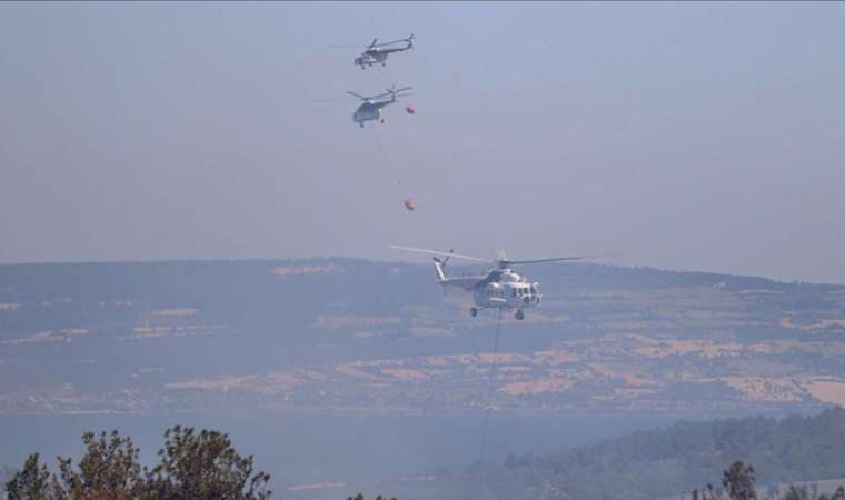 Türkiye continues to battle forest fires in its western, southern provinces
