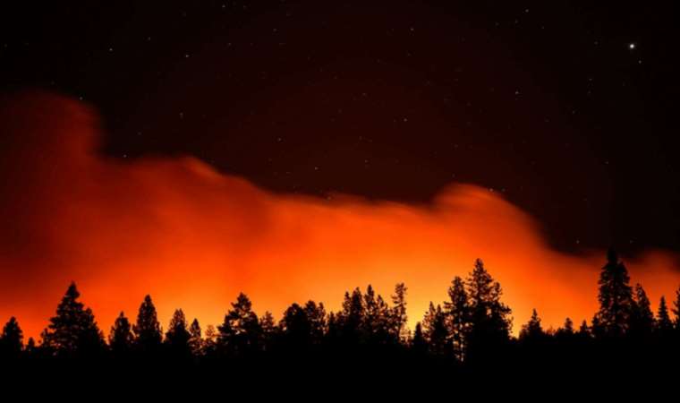 Wildfire rages near resort town in southern Turkey