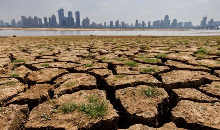 People worldwide swelter, suffer, die under climate change-fueled heat waves