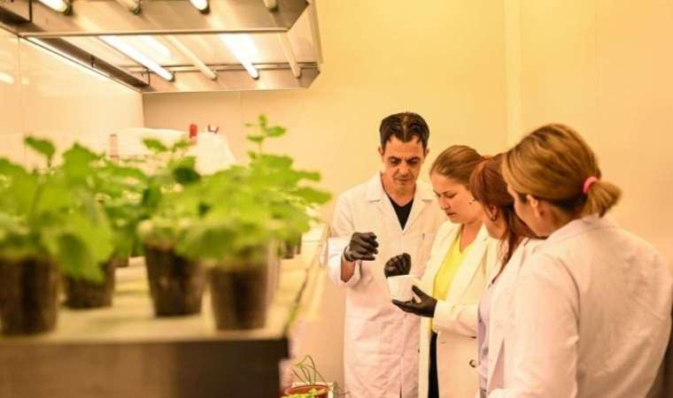 Turkish scientists are preparing to grow plants in space