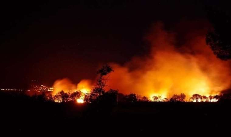 Wildfire in southern France extinguished after weeklong battle