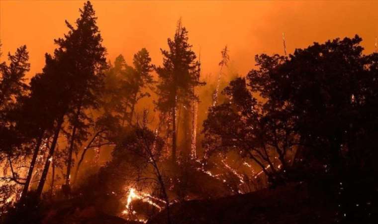 Wildfires in Greece approach Athens, force evacuations