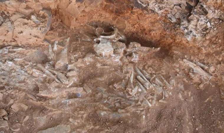 9M-year-old fossils unearthed in southwestern Turkey
