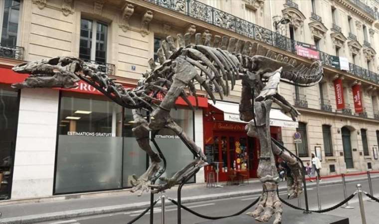 Rare 150 million-year-old dinosaur skeleton to be auctioned in Paris