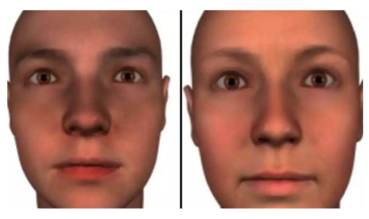 Can we guess your social class from your face? Recent research suggests Yes