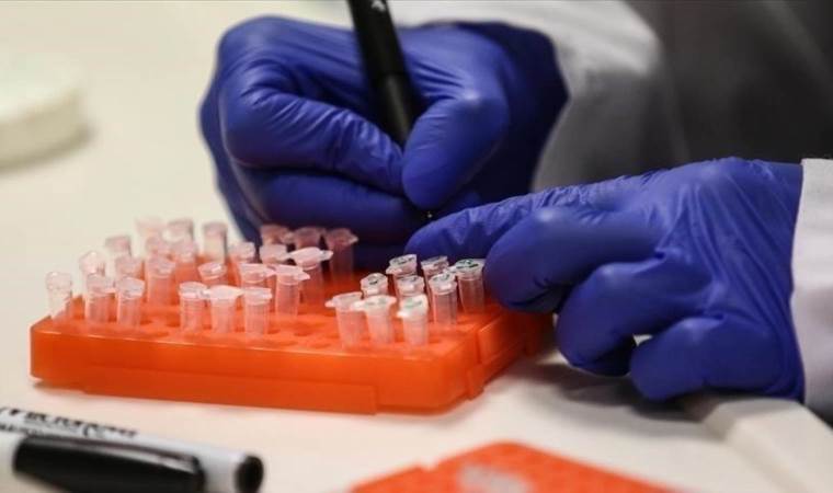 California governor declares emergency over bird flu