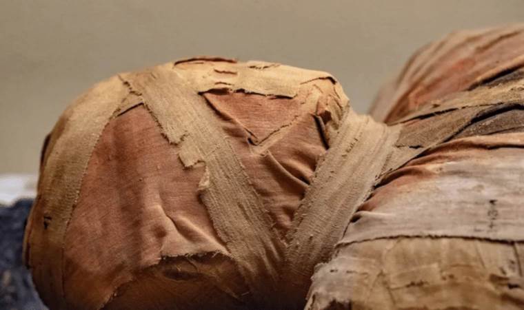 Genetic study unravels origins of Tarim Basin Mummies