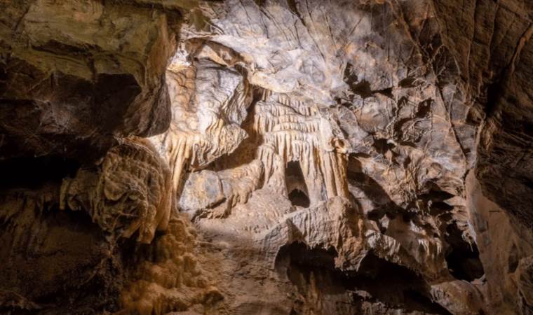 Gough’s Cave: Unraveling ancient cannibalism