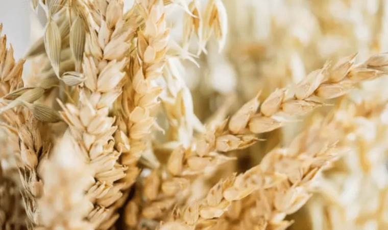 Pesticide in cereals linked to infertility