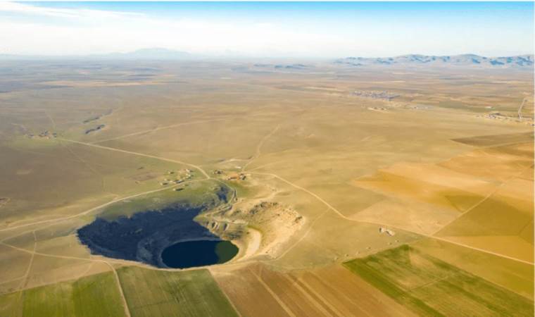 Unveiling Earth's hidden subterranean ecosystem