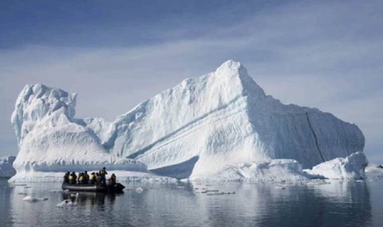 Bird flu detected in Antarctica for the first time