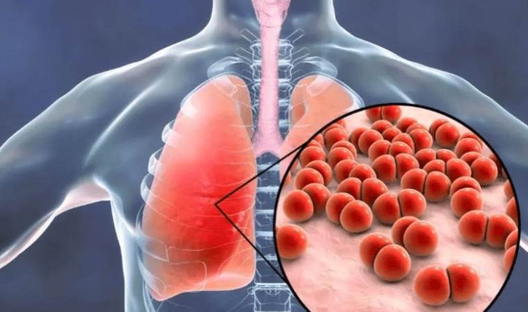 Discovering hidden lifeforms within the human body