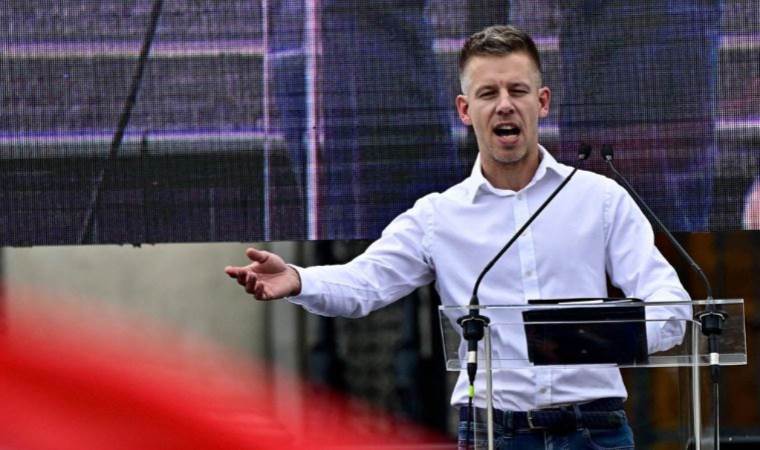 Orban's new challenger gets green light to run at European elections