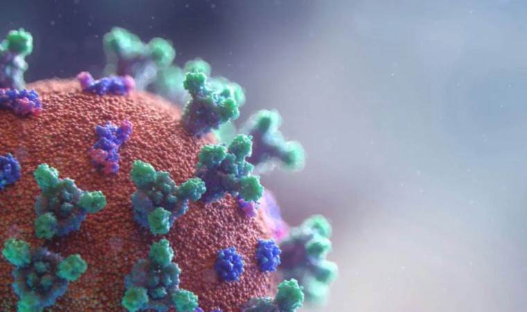 History's longest pandemic lasted a full '15 million years'