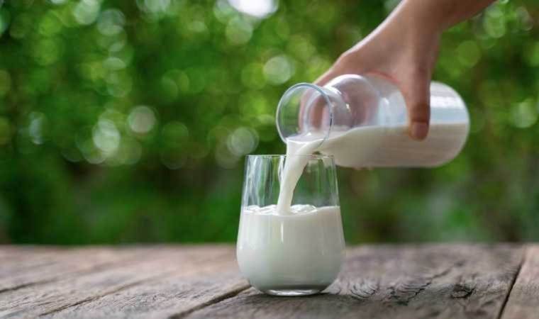 Turkiye's massive dairy brand Kay files for bankruptcy
