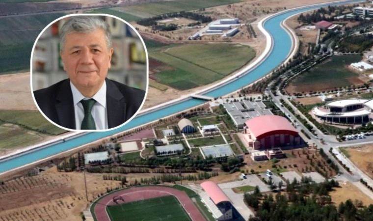 GAP: The Bride with Seven Earrings!