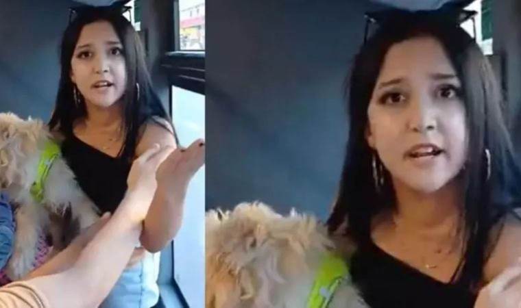 Woman boards bus with a dog: Sparks dispute