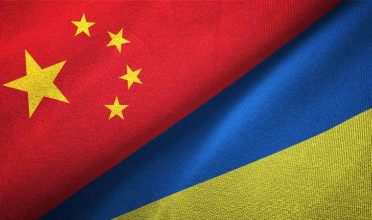 China says all efforts should be recognised in Russia-Ukraine peace measures
