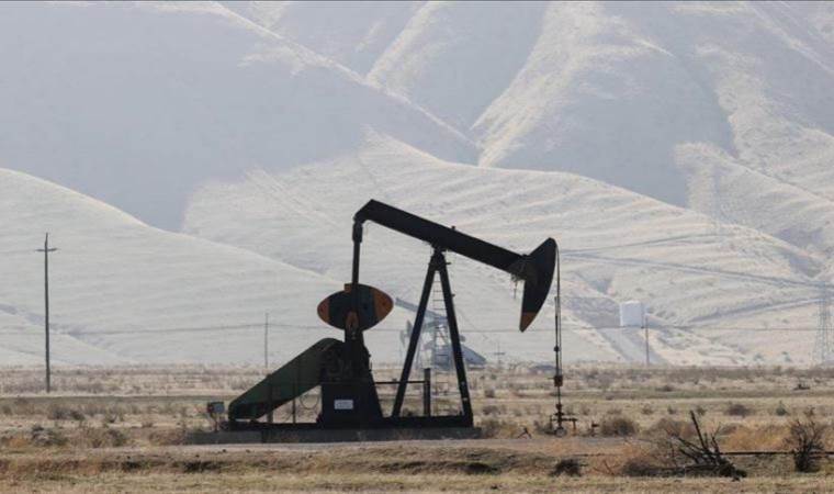 Oil up over positive demand outlook, ongoing conflicts in Red Sea