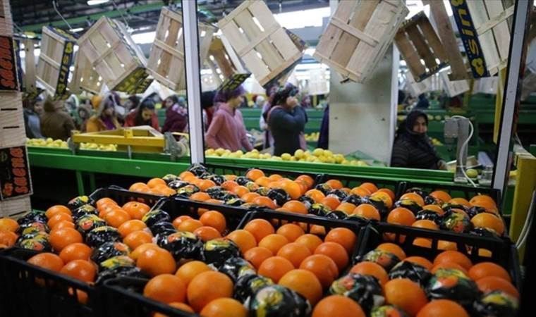 Fruit and vegetable exports surge 20% in first half of 2023