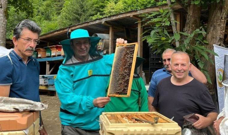 After 25-years in journalism, man turned to beekeeping!