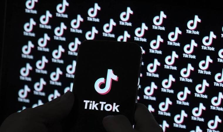 US President-elect Trump will 'find a way' to preserve TikTok, says incoming national security adviser