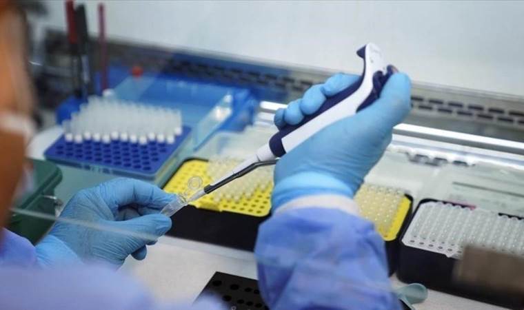 Portugal registers 29 mpox cases since August