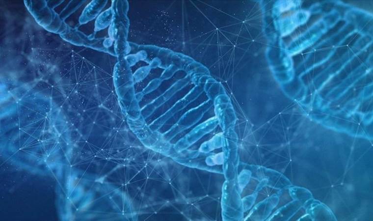Scientists create cutting-edge DNA tool to predict a per