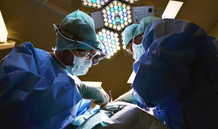 Chinese researchers transplant world's 1st gene-edited pig liver into human