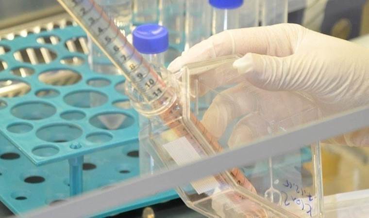 Death toll in Australia’s Queensland state from soil-borne disease rises to 31