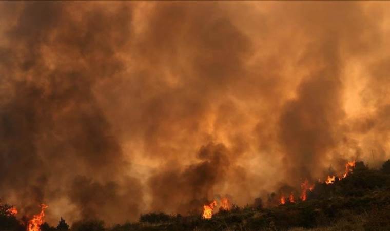 Wildfires rage across US state of Arizona, with over 8,000 hectares burned