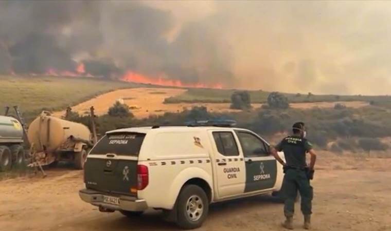 Over 39,000 hectares burned in Spain as wildfires force thousands to flee