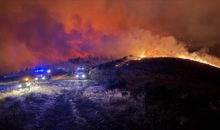 Wildfires burn nearly 100,000 hectares of land in Spain so far this year