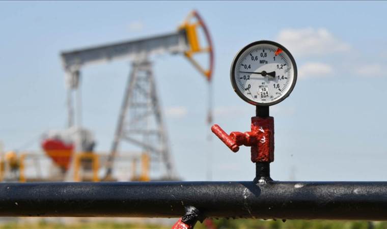 India to continue purchasing Russian oil: Report