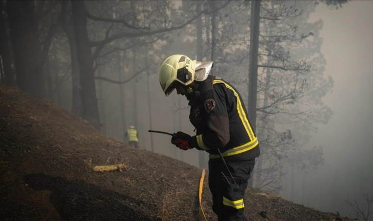 1 dead, 9 injured as southern France battles 'biggest fire of summer'