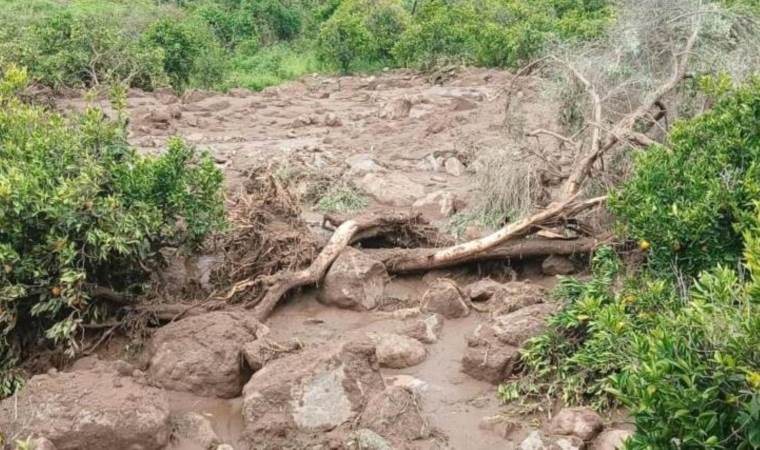 Over 1,000 killed in landslide in western Sudan village