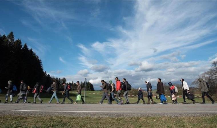 Asylum applications in Germany drop 60% in August amid stricter border controls