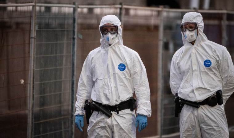 France confirms 1st hantavirus case linked to MV Hondius France confirms 1st hantavirus case linked to MV Hondius