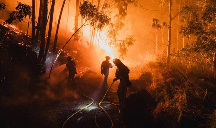 Central Spain wildfire scorches 13,000 hectares, forces Central Spain wildfire scorches 13,000 hectares, forces