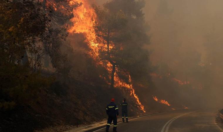 Dozens of wildfires sweep across Italy’s Sicily, forcing Dozens of wildfires sweep across Italy’s Sicily, forcing