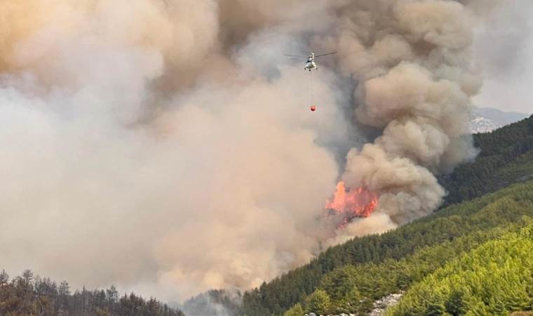 Spain stabilizes major wildfire as over 123,000 hectares