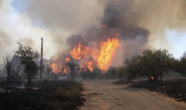 France, Spain continue battling major wildfires as